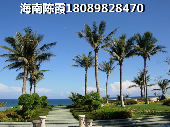 伟业氧立方