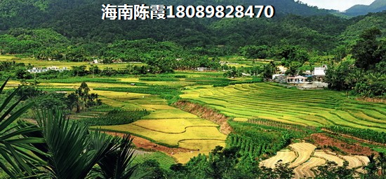 饮品的商贸公司起名字